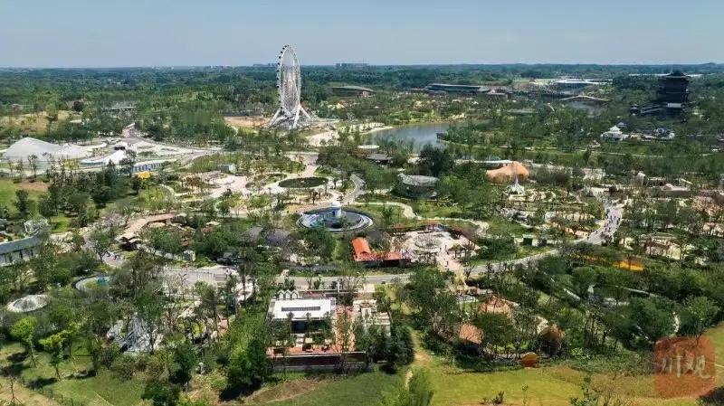 四川成都，男子带着孩子去世园会玩，为了逗孩子，随手薅了两株薄荷，谁料，一工作人员