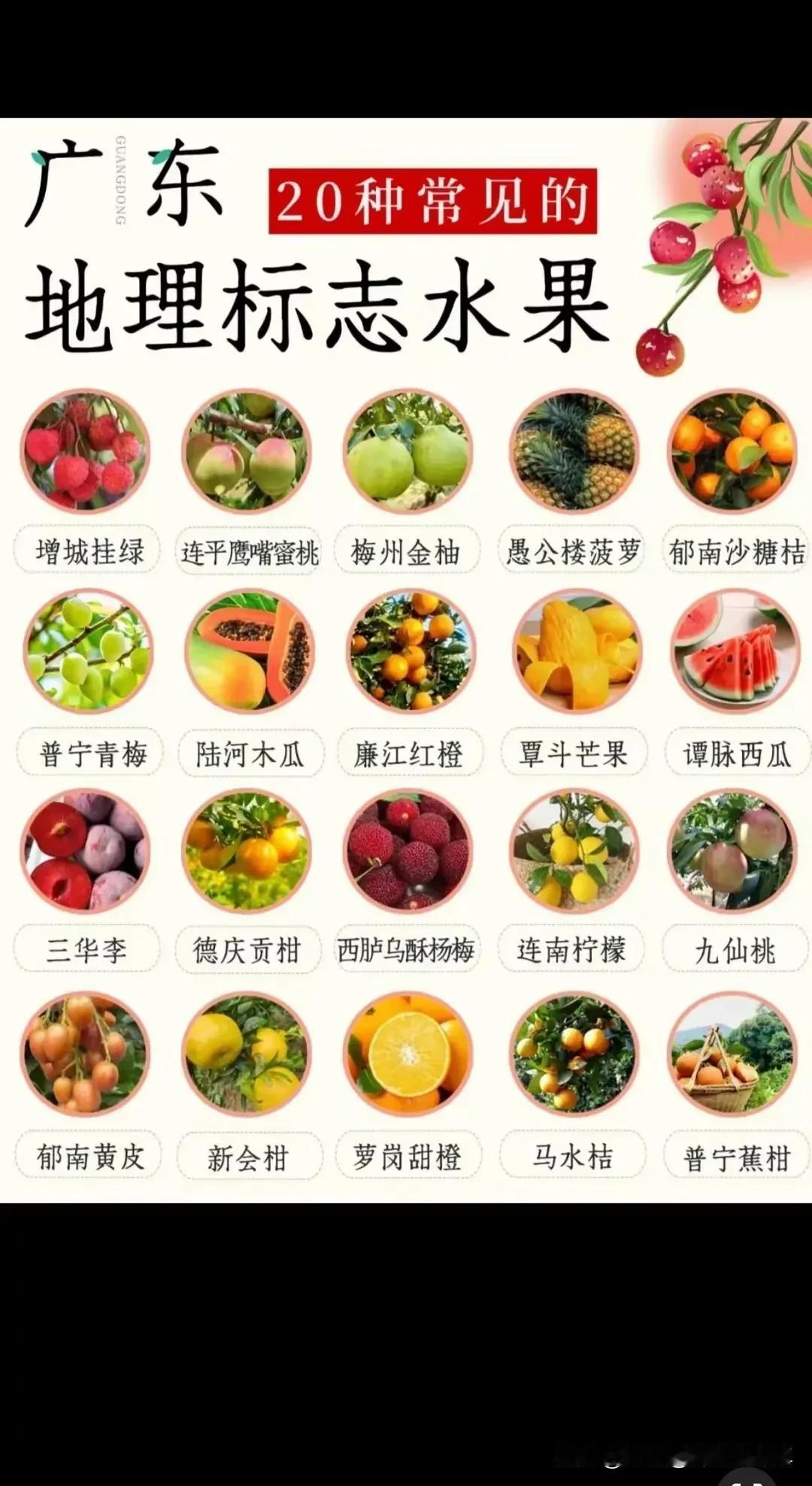 广东常见的地理标志水果，你吃过几种呢，本人觉得最好吃的是廉江红橙，如果是红江农场