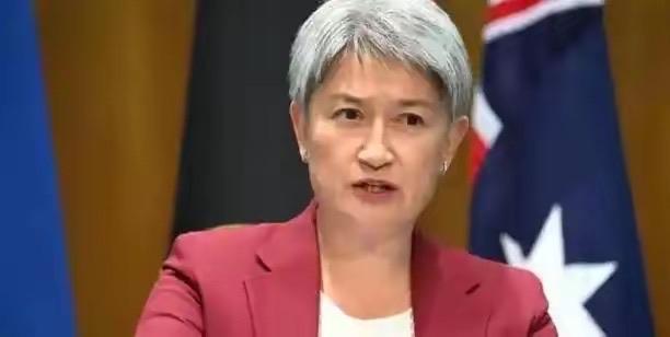 澳大利亚外长近日呼吁中国要给予军事保证，结果美国记者当场甩出个灵魂拷问：你们单方