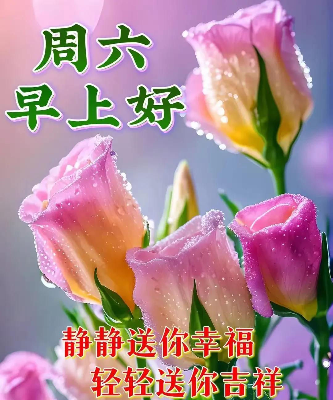 #看世事无常，求上联#上联:怜岁月无情；