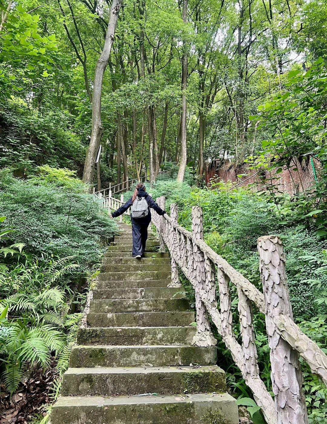 重庆主城！轻轨直达的森林步道太治愈了！三月初的天气太舒适了微风吹着晒着太阳不