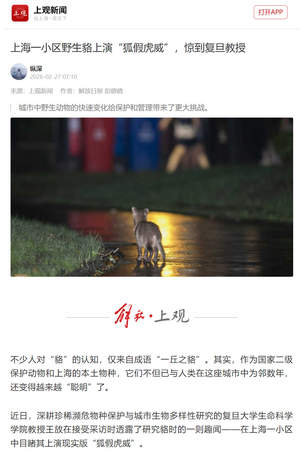 🔻世说新语：貉假虎威🔻看到个新闻说，上海有些地方野生貉局部泛滥，成天在小区里