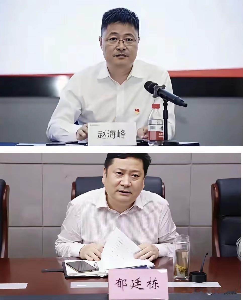 赵海峰跟郁廷栋俩人，估计现在肠子都悔青了，肯定后悔去招惹那个刚入职的女员工。这