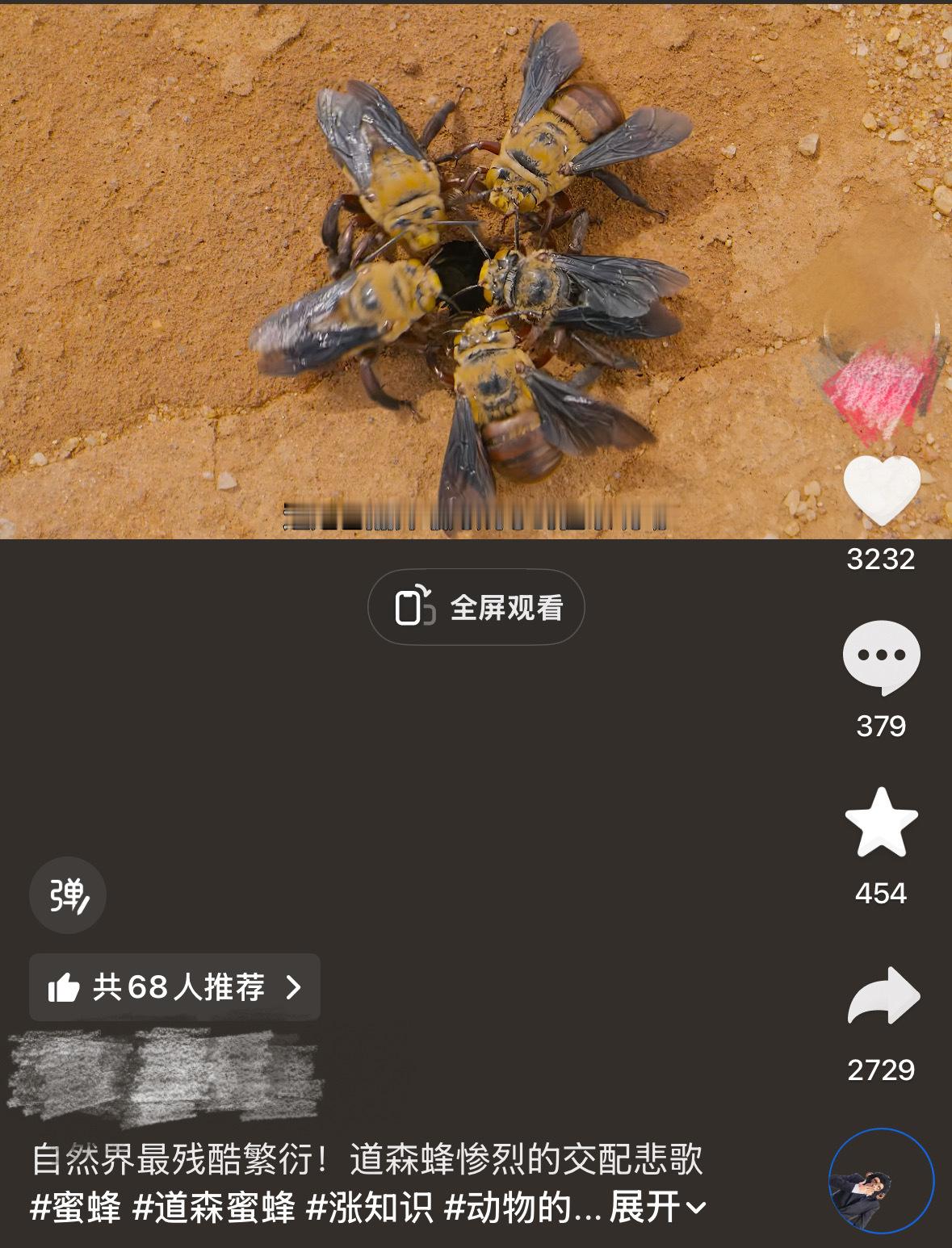 原视频讲的是道森蜜蜂受到本能控制，交配期无数雄蜂扑向一只雌蜂，常常导致雌蜂死亡，