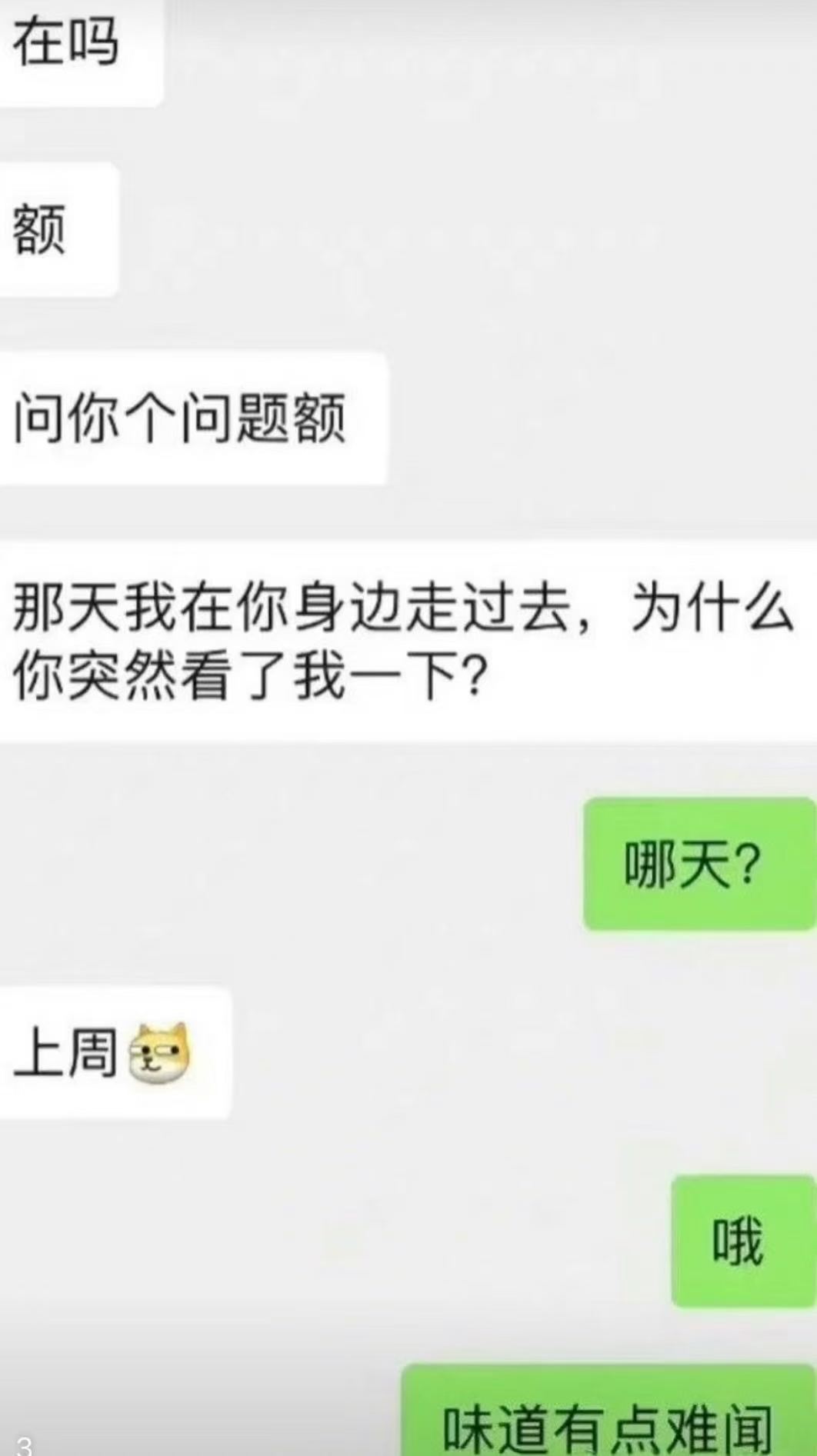 哦哦