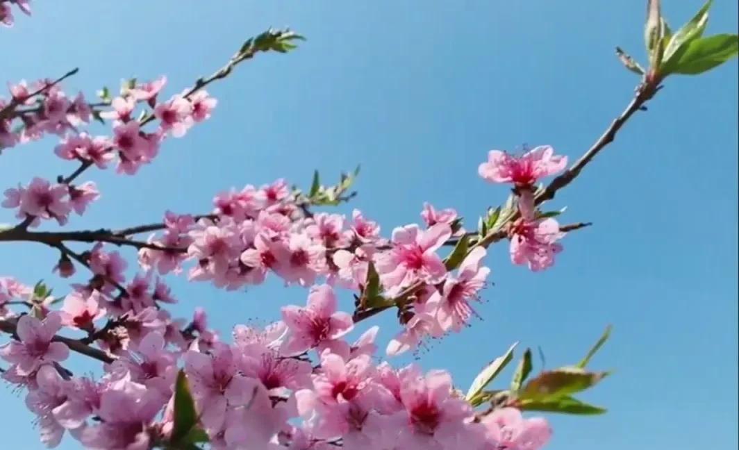 爽歪歪的活着[烟花][烟花][烟花][烟花]活着就是为了活他个爽，