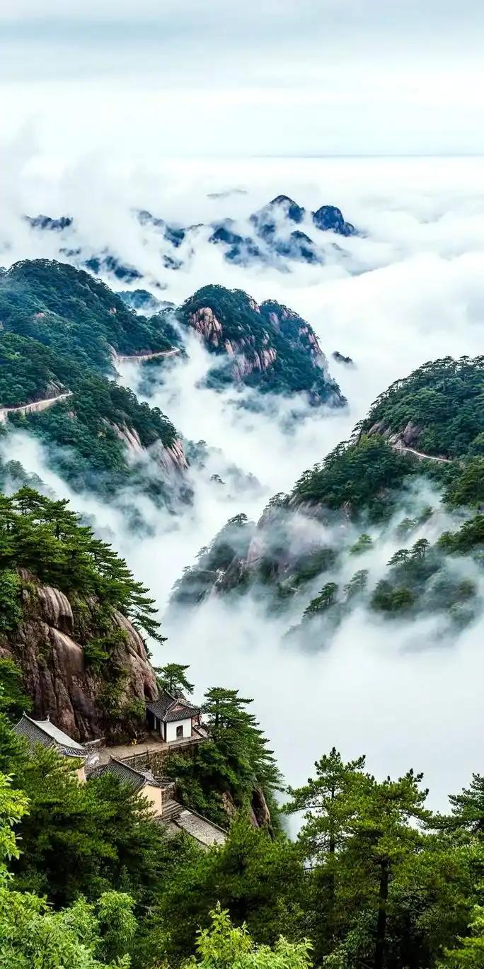 在这个纷繁复杂的世界里，我们常常被各种压力和期望所包围。社会不断地告诉我们，只有