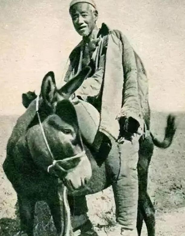 1943年，冀东300名八路军被鬼子包围，一名老者从驴背上跳下来，手拿一把“英七