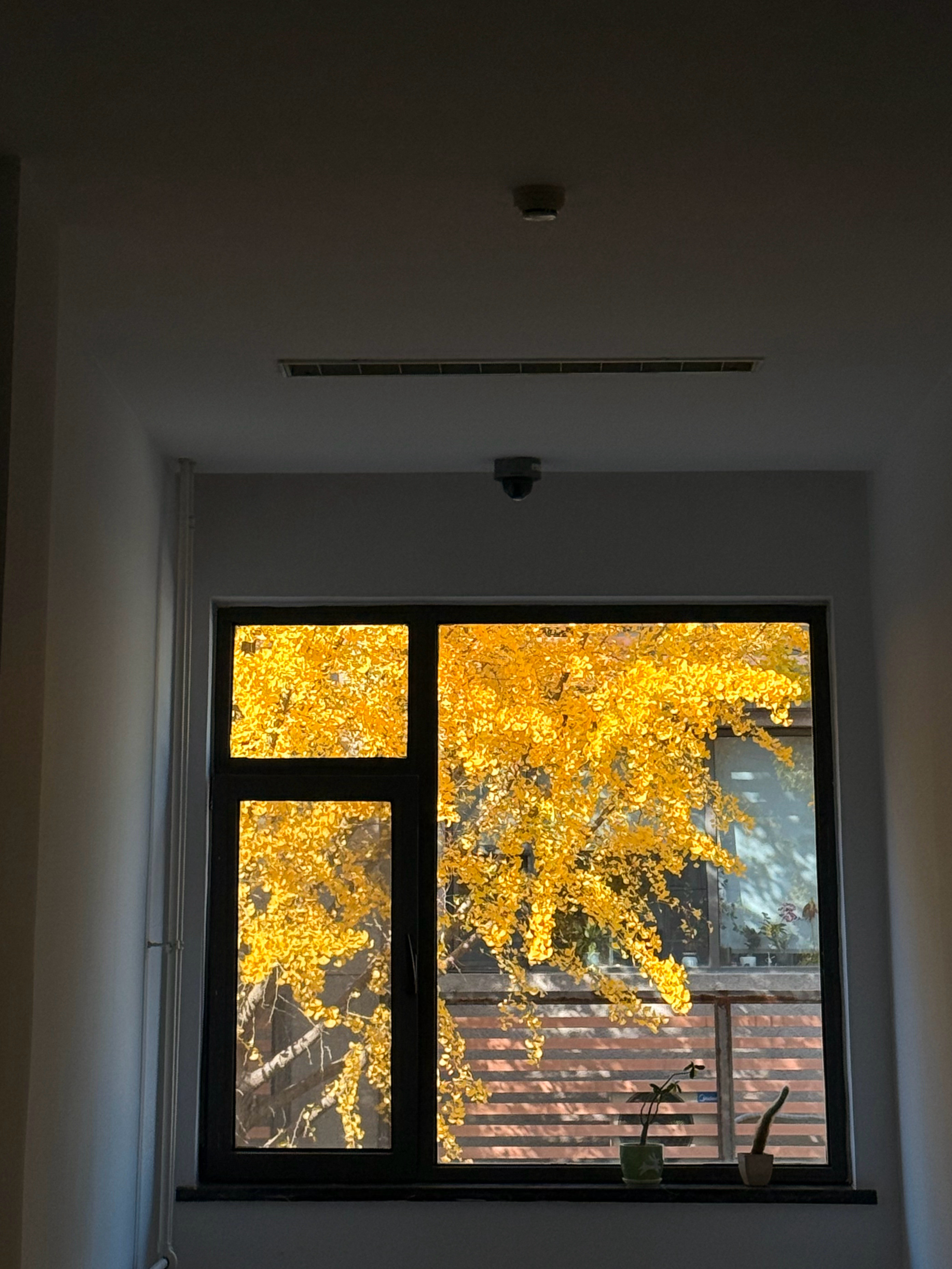 原来如此​​​