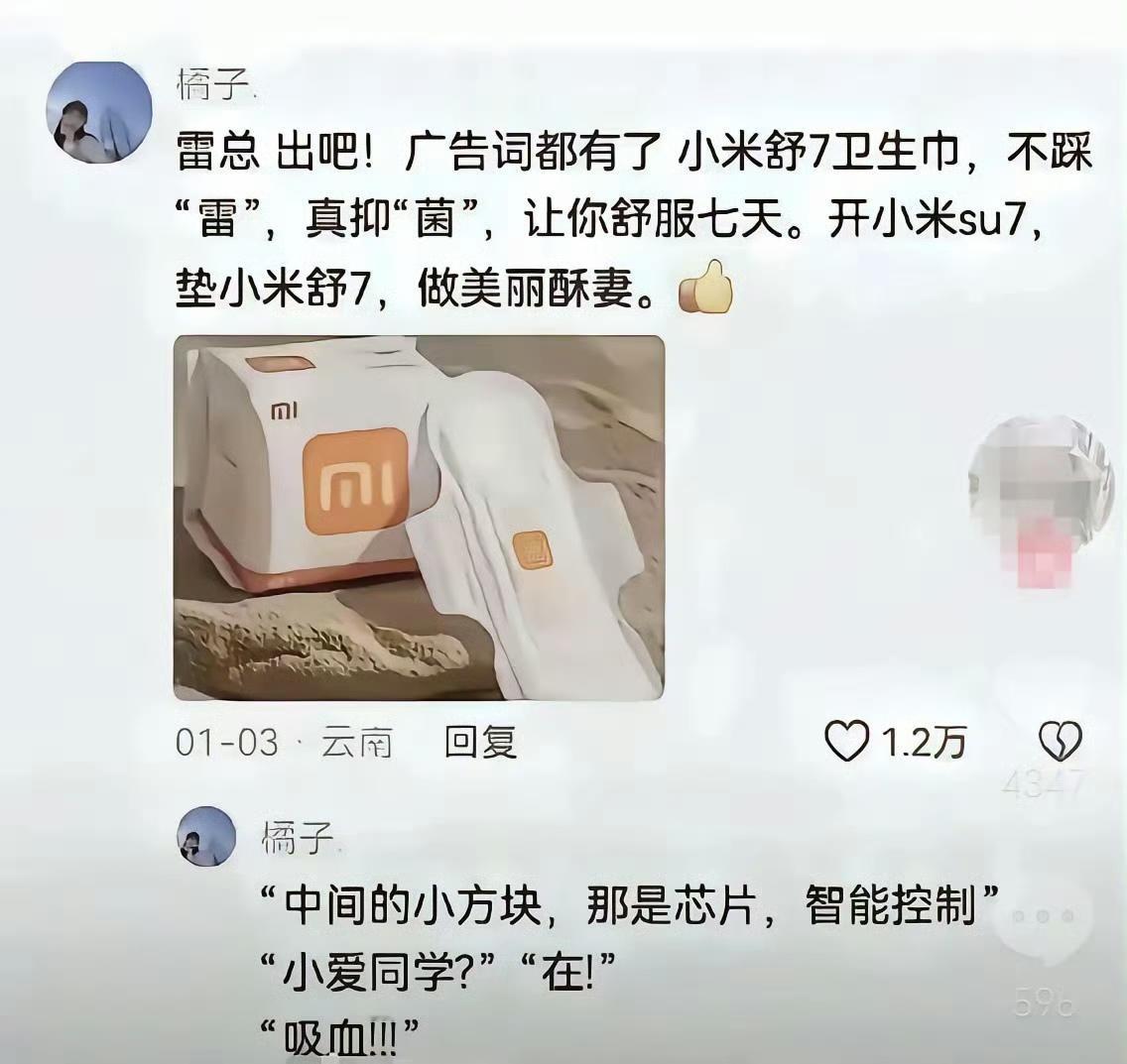 估计雷总也被整迷糊了，评论区看到的真是笑死了，前面没笑，看到芯片笑崩溃了！