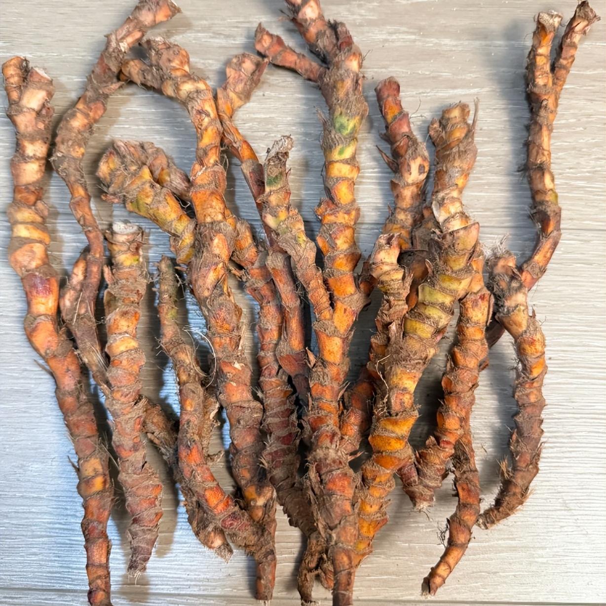 耳鸣十年，身体会有什么变化？不少人从年轻时就开始耳鸣，一晃就是十年。年轻时偶尔