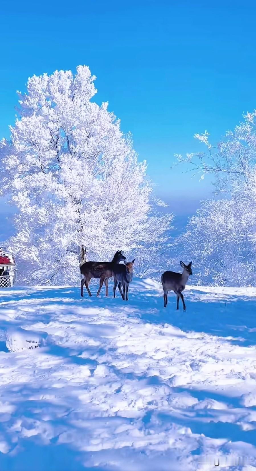 胃癌后的生活，因为对中药和部分庸医有抵触情绪，所以不敢吃中药调理……