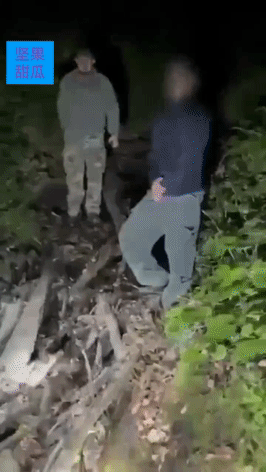 这个乌克兰基辅壮丁倒霉了，想徒步翻越与罗马尼亚的山区，结果遇见了狗熊，爬到树上呼