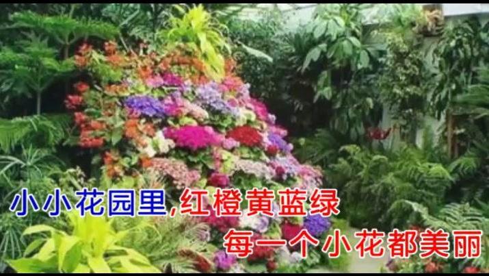 天父的花园