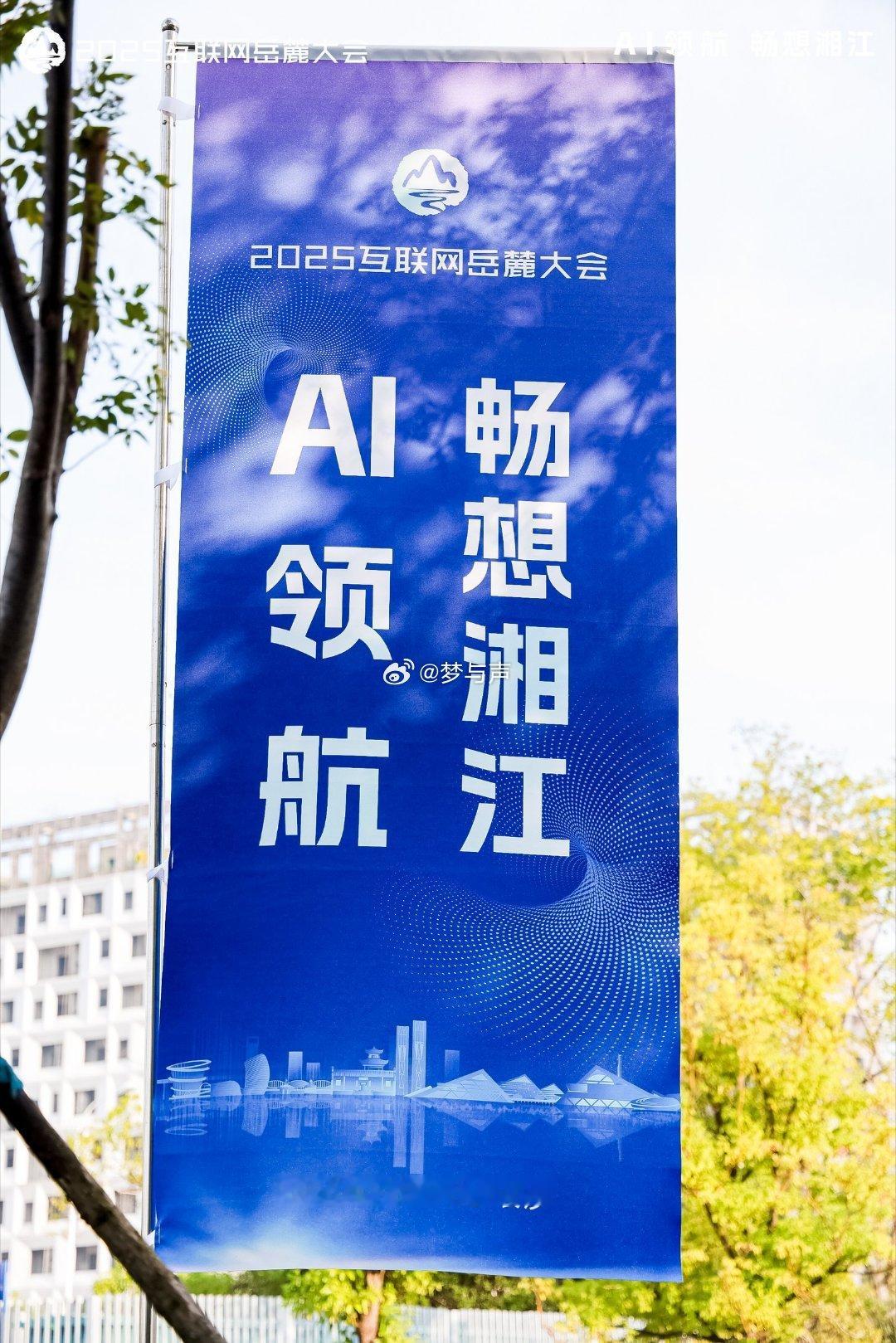 正在2025互联网岳麓大会，AI+工业互联网论坛干货满满，工业智能化转型势不可
