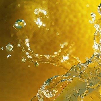 种植1500柠檬如何种植：🍋🍋🍋1、适合柠檬生长的温度在23至29度。?