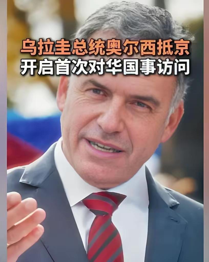 乌拉圭是南美洲的一个小国，但是基本上已经实现中等发达国家水平。乌拉圭的面积1