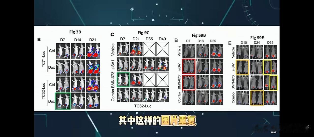 活久见！在国外学术造假混不下去的夫妻，回国竟拿下清华、浙大顶级教职，属实刷新认知