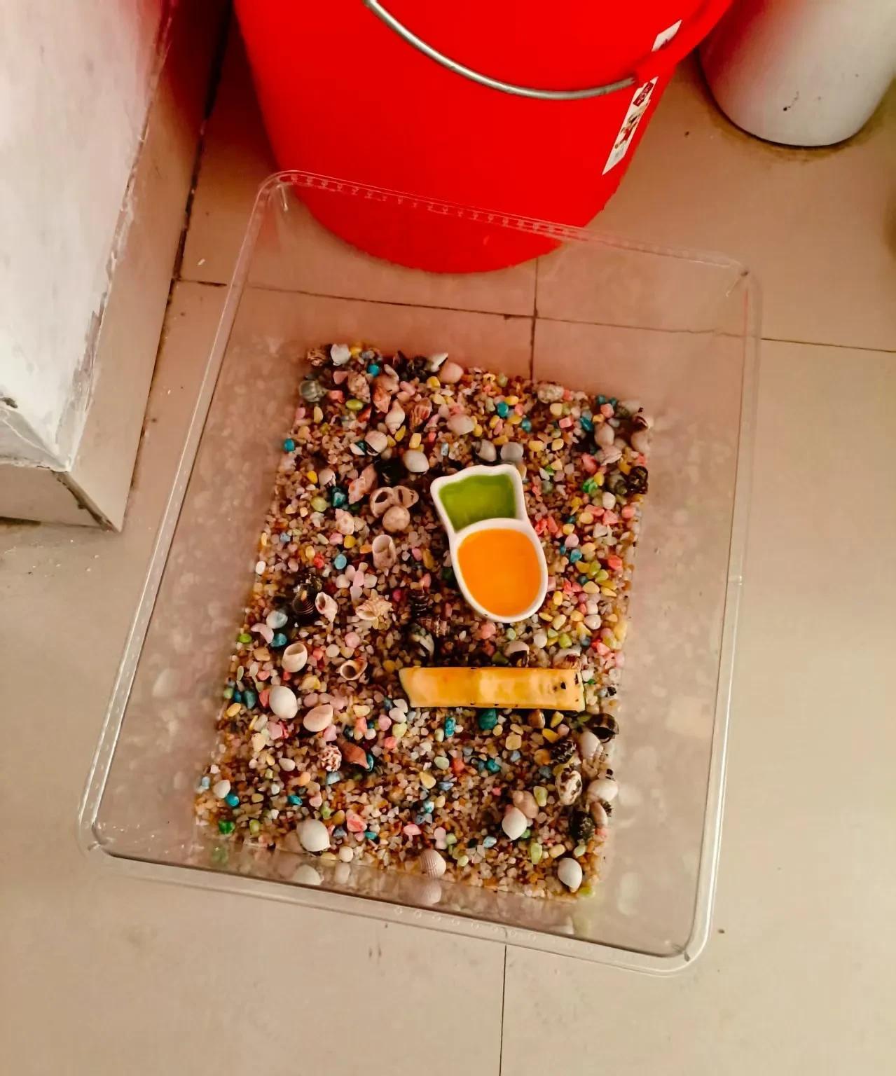 我摆摊真的要魔怔了。昨天晚上我没有出去摆摊，没有出去摆摊的原因是家里的螃蟹不多