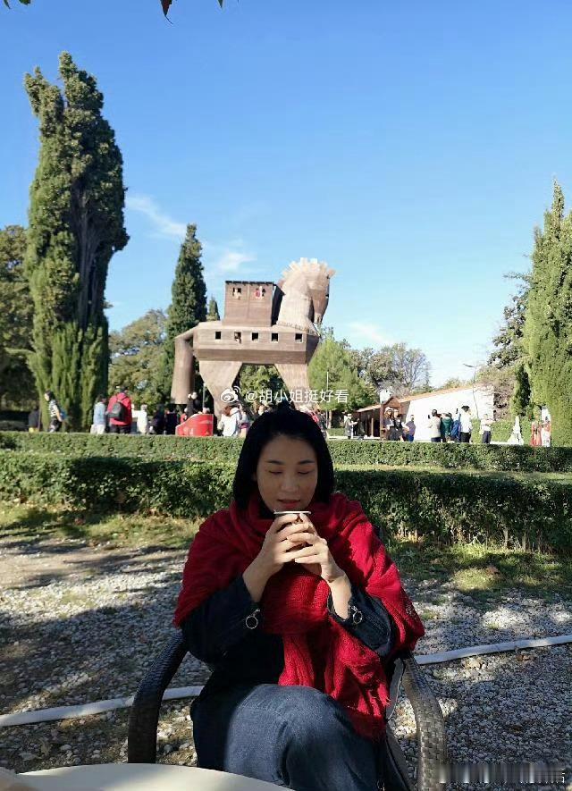 我很多年前去土耳其特洛伊就说，木马计能骗得到人？谁会信这玩意，弱智都骗不到。荷马