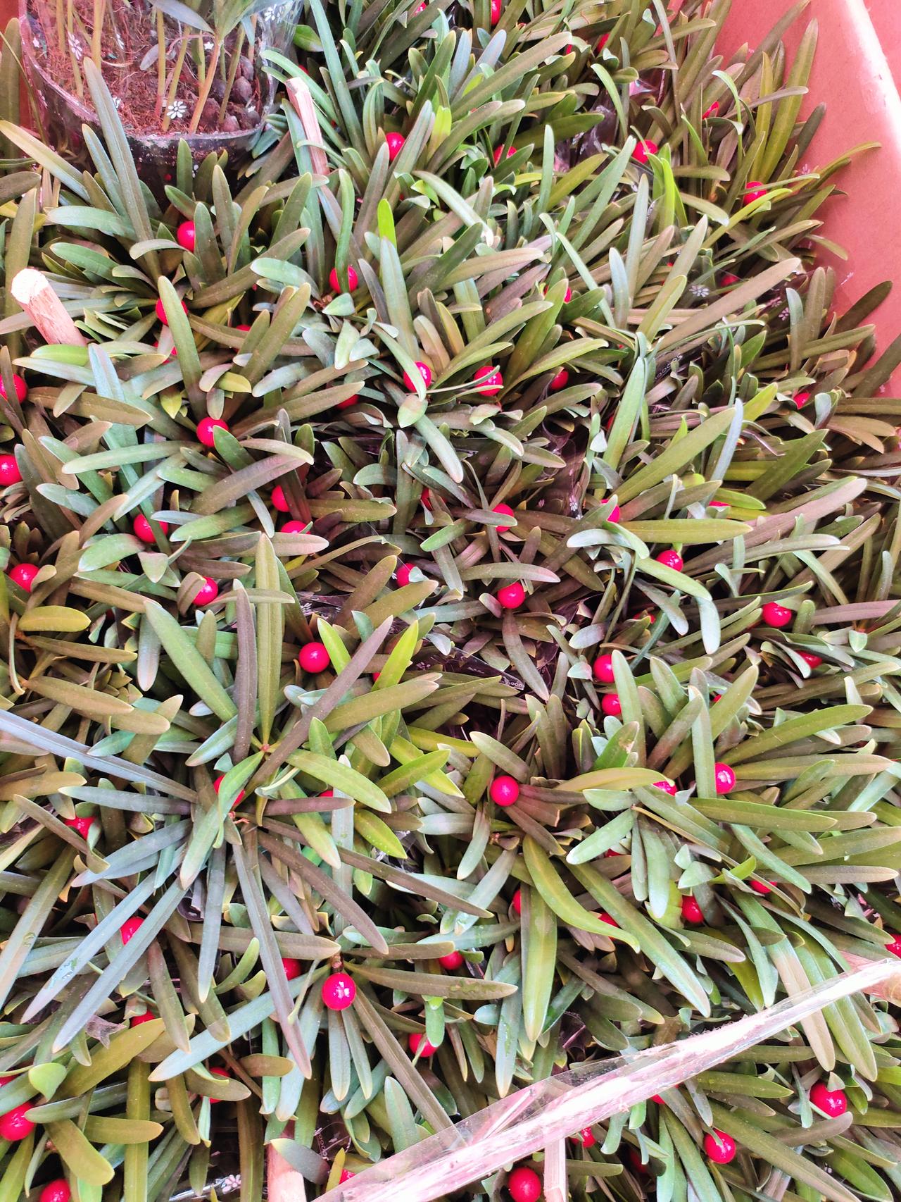 老了才懂的生活铁律：少言少怨，独来独往，守本心才是真人这一辈子，越往后越明