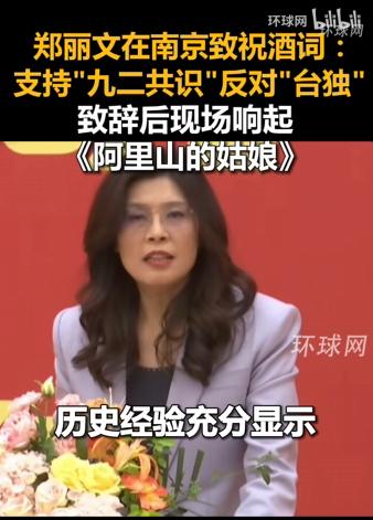 郑丽文在南京发表祝酒词，一向脱稿的她这次变了4月7日晚，国民党人士郑丽文到