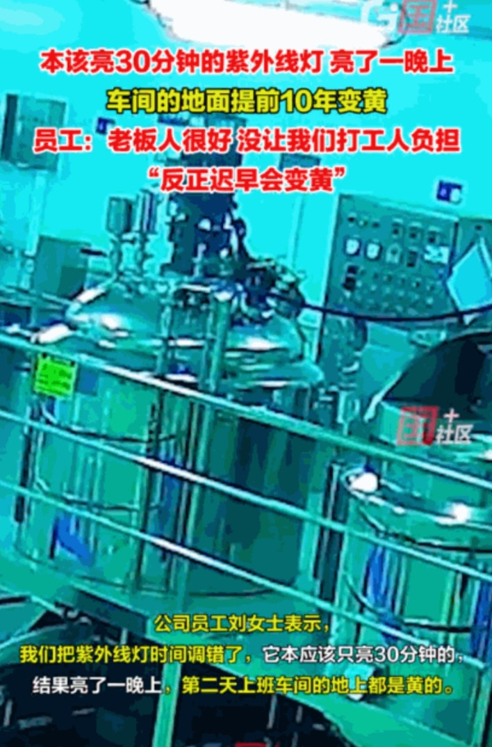 “活该老板发大财！”广东广州，一工厂员工操作错误，将紫光灯开了整整一晚上，直接导