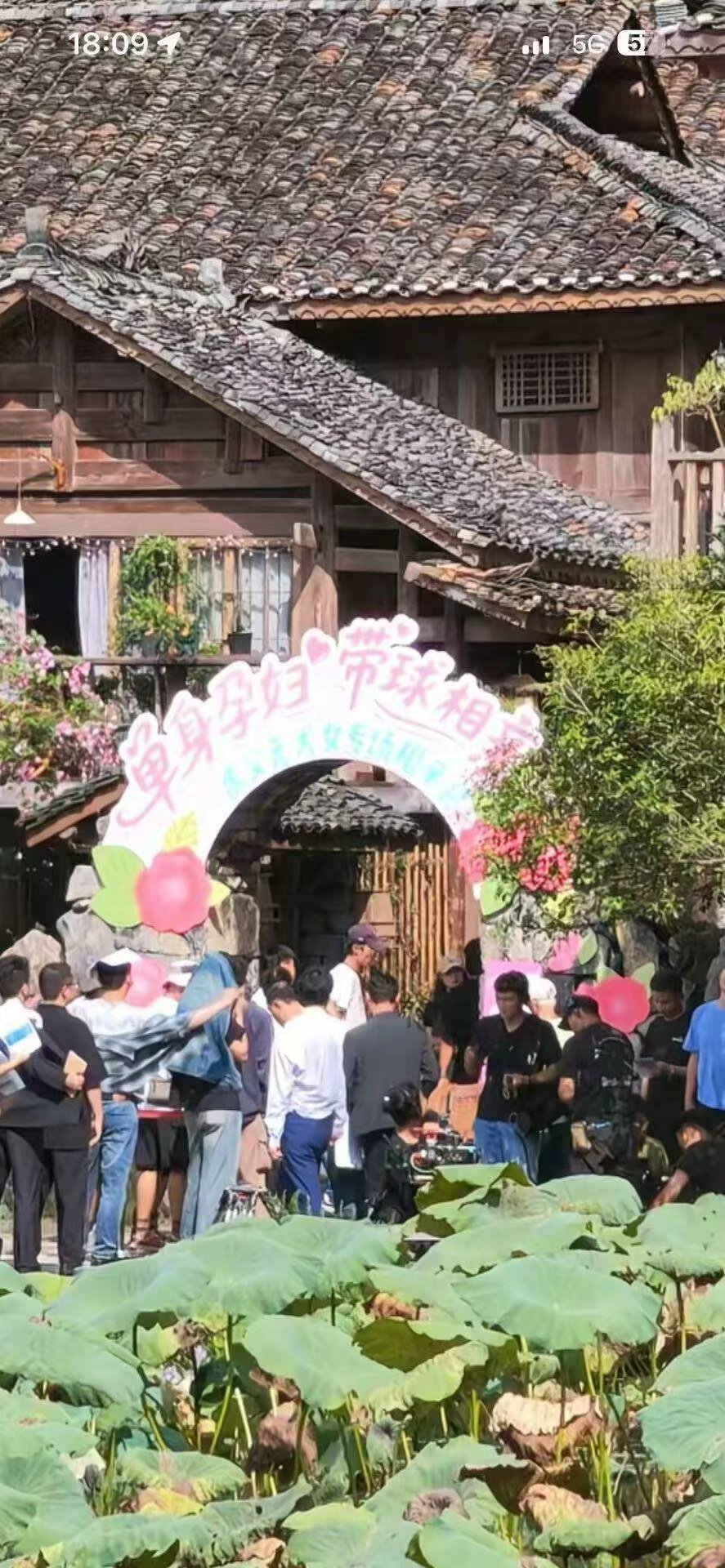 “单身孕妇，带球相亲”​​​