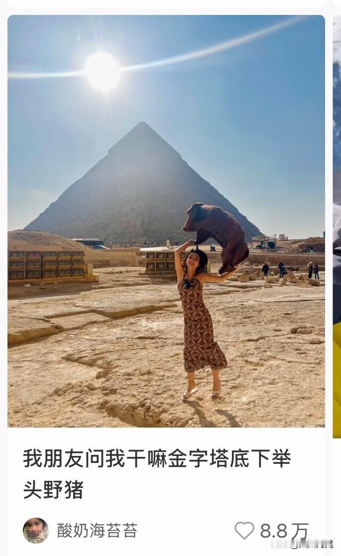 没有獠牙，大概率是家猪。她还怪有劲