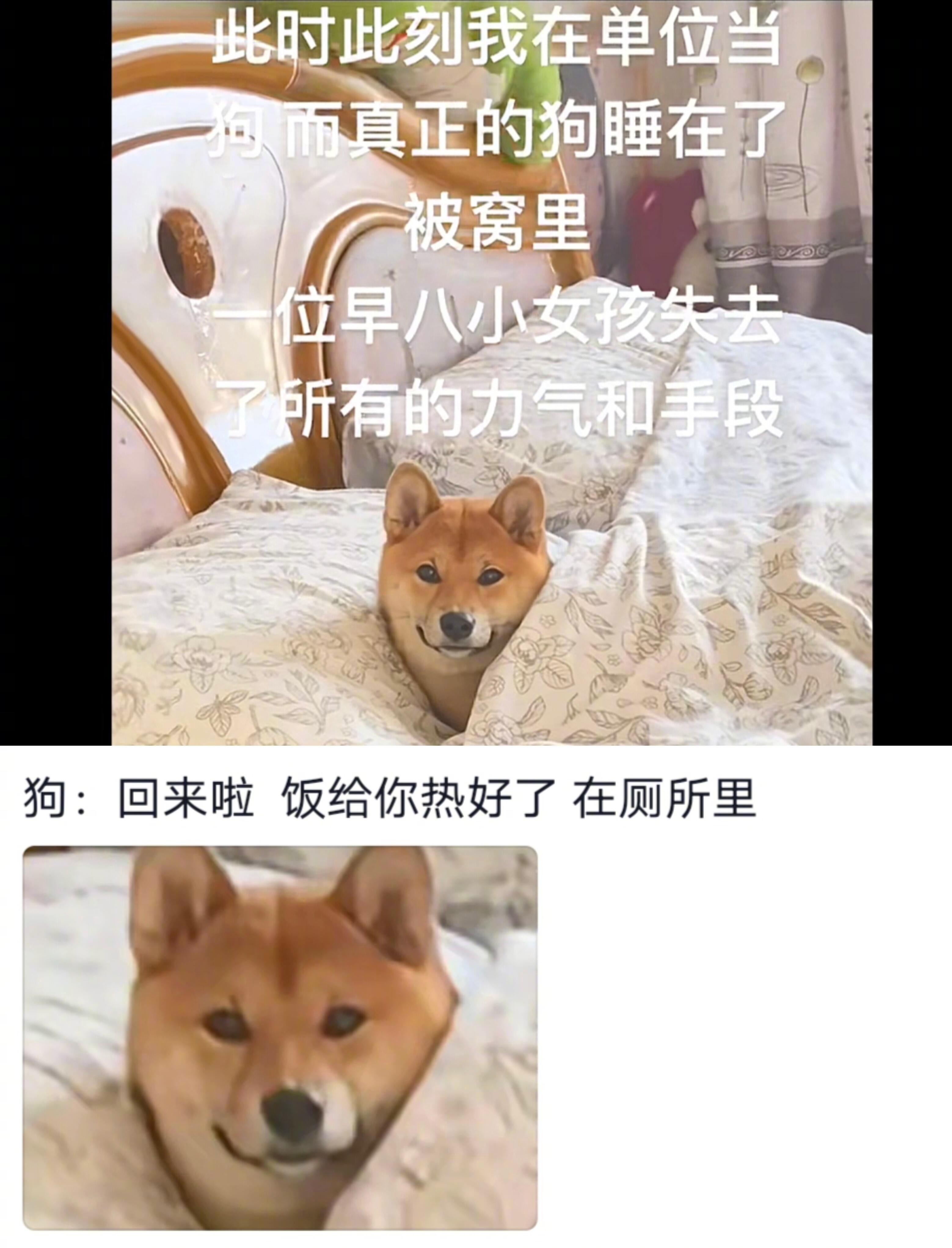 终于知道为啥放假在家爸妈看我不顺眼了假日先疯派春日放个疯​​​