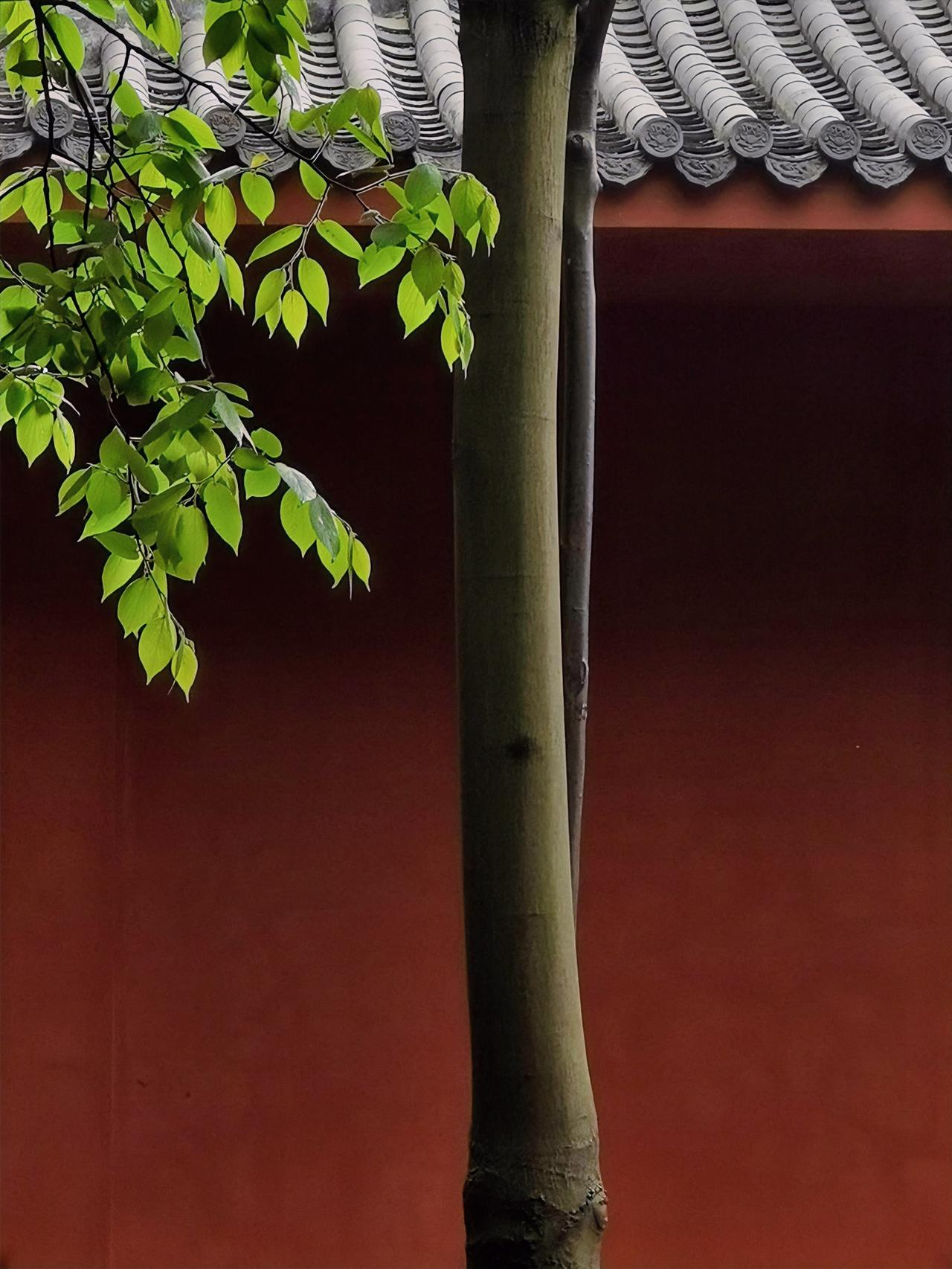 这句话真的有道理:“永远不要操心你的命运,你只需要操心你的意念,操心你的每一个念