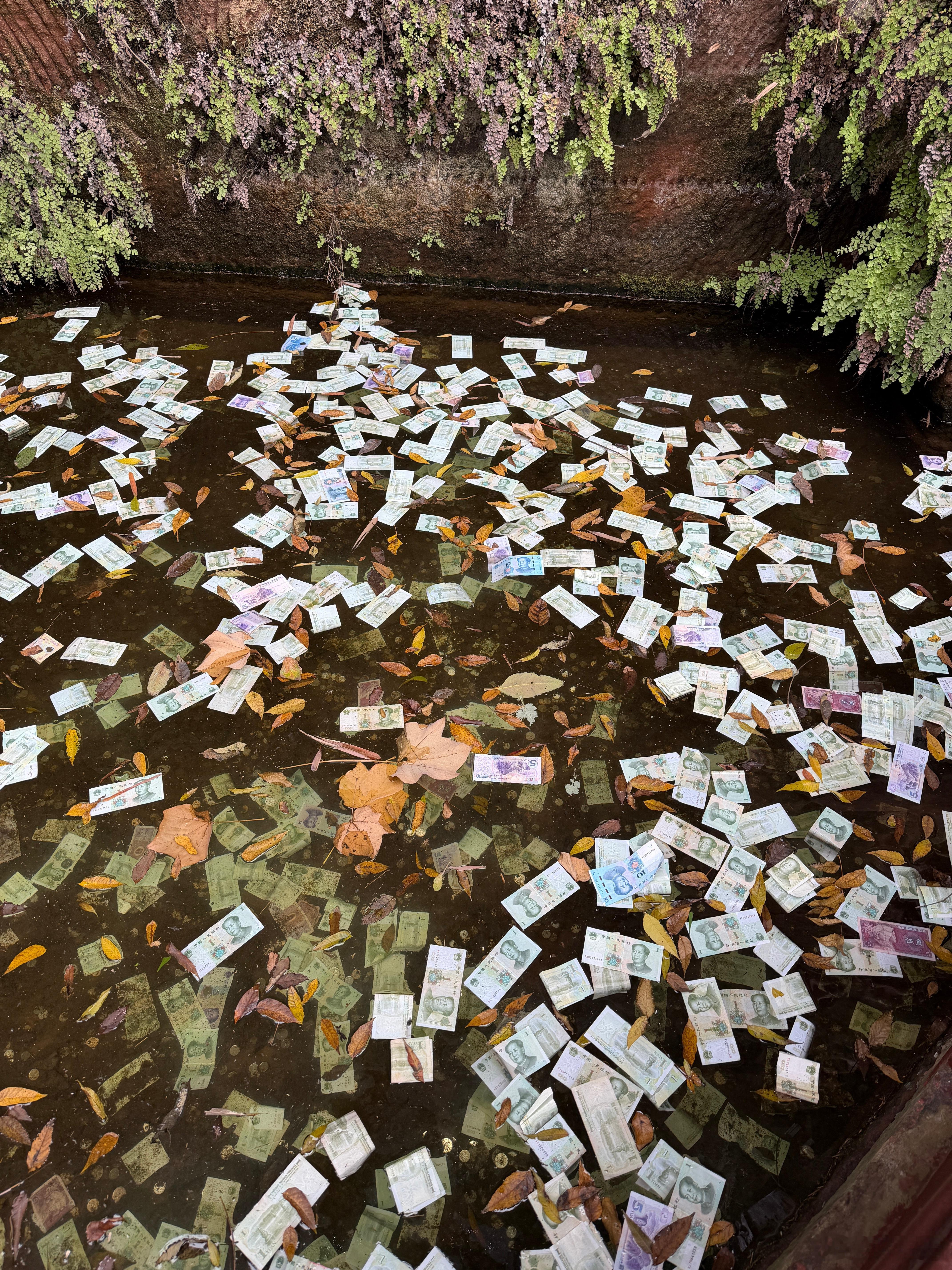 卧槽，现在都改扔纸币了吗？