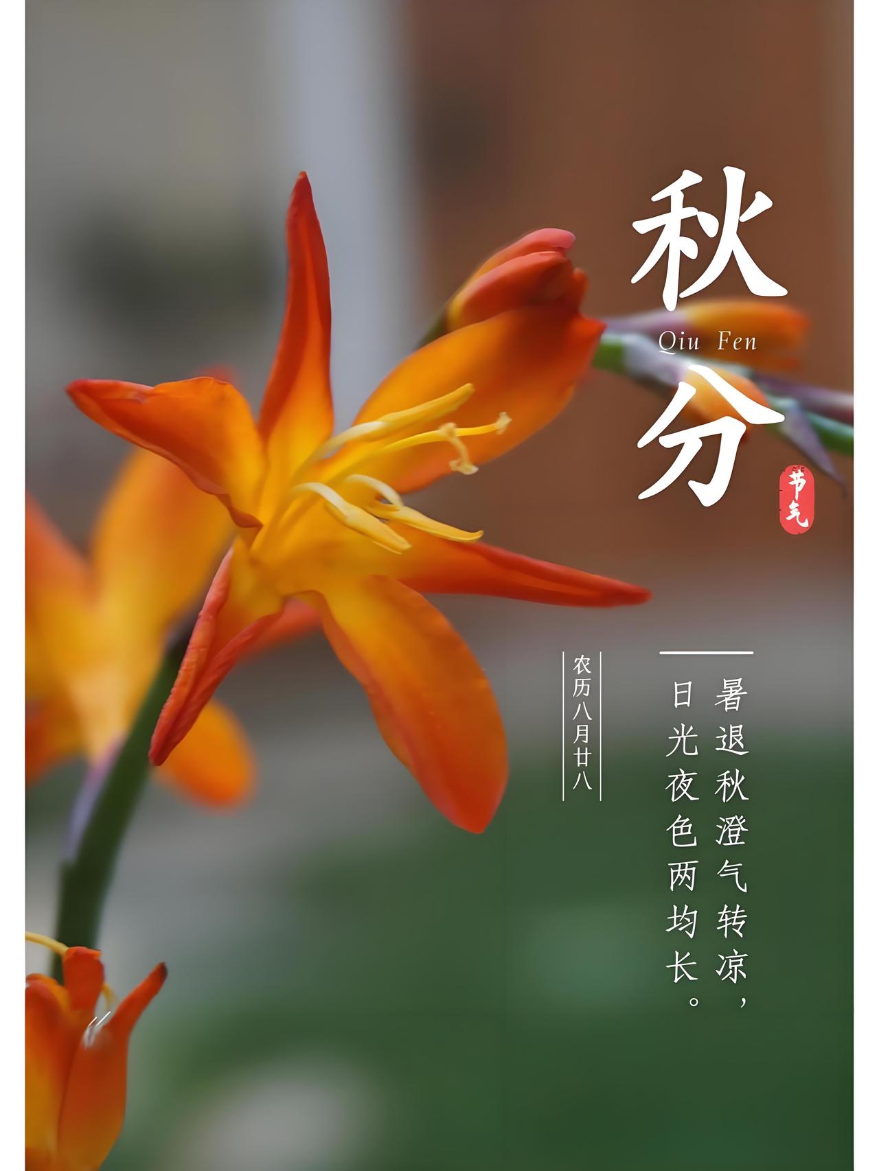 今年的秋分节气不一般，属于民间所说的“早秋分”。传统上，人们常以“酉时”（即下