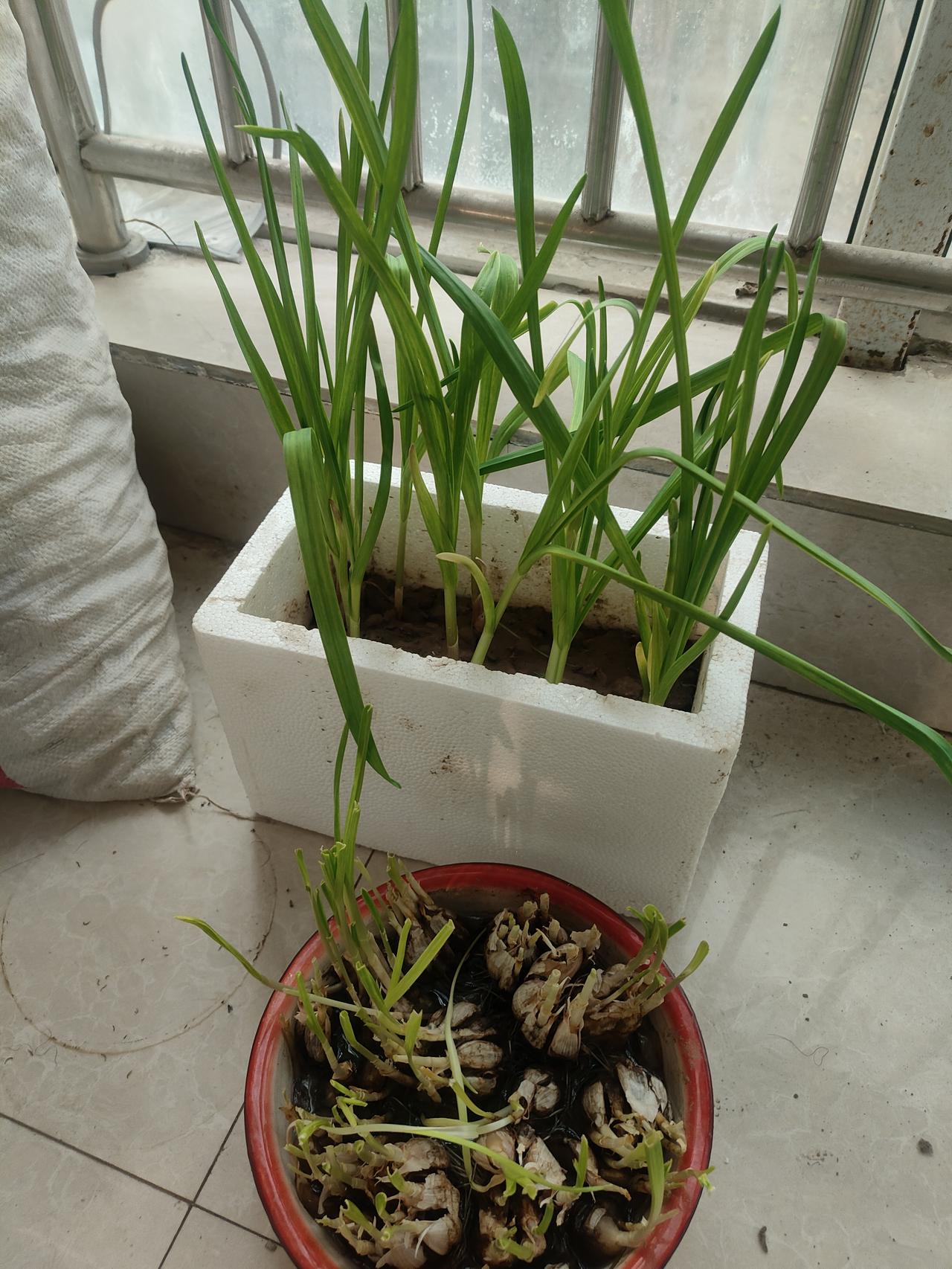 博士没有了安家费，不还是因为博士的数量太多了吗？前段时间上海交大，这一年就招5