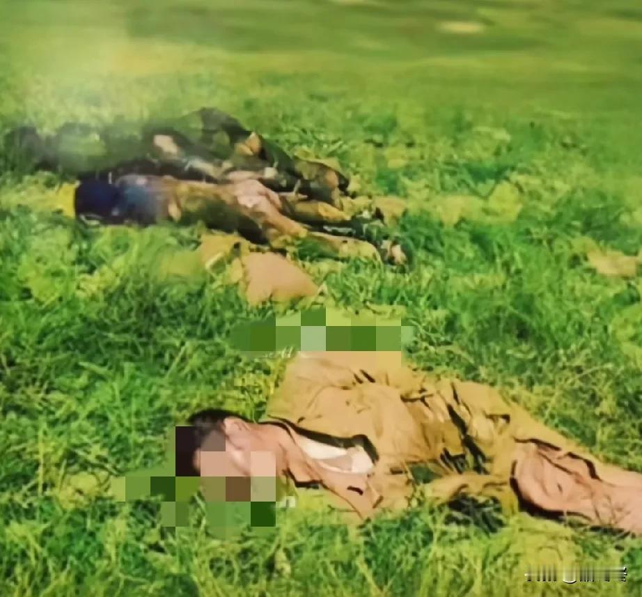 老山反击战中，倒在冲锋路上的战士。1984年6月，老山反击战打得最为惨烈的一次
