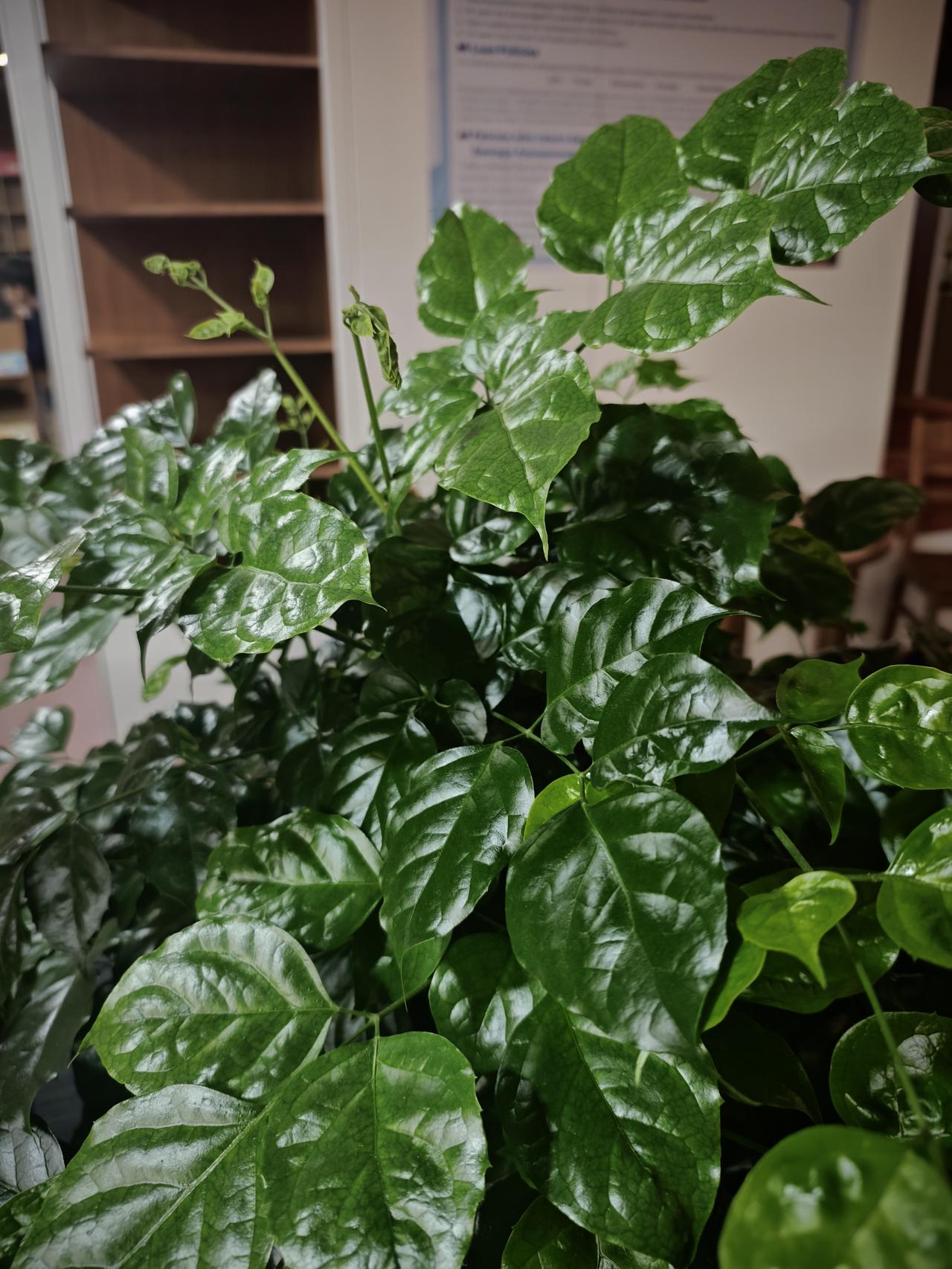 今天午饭的时候聊起家长里短，一个90后的同事一语道破:可以用钱解决的都不是问题