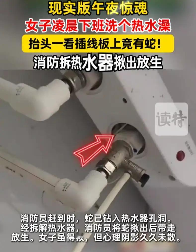 “有惊无险”！安徽阜阳，女子凌晨回到家后准备洗澡睡觉，谁知刚进浴室打开灯，却发现