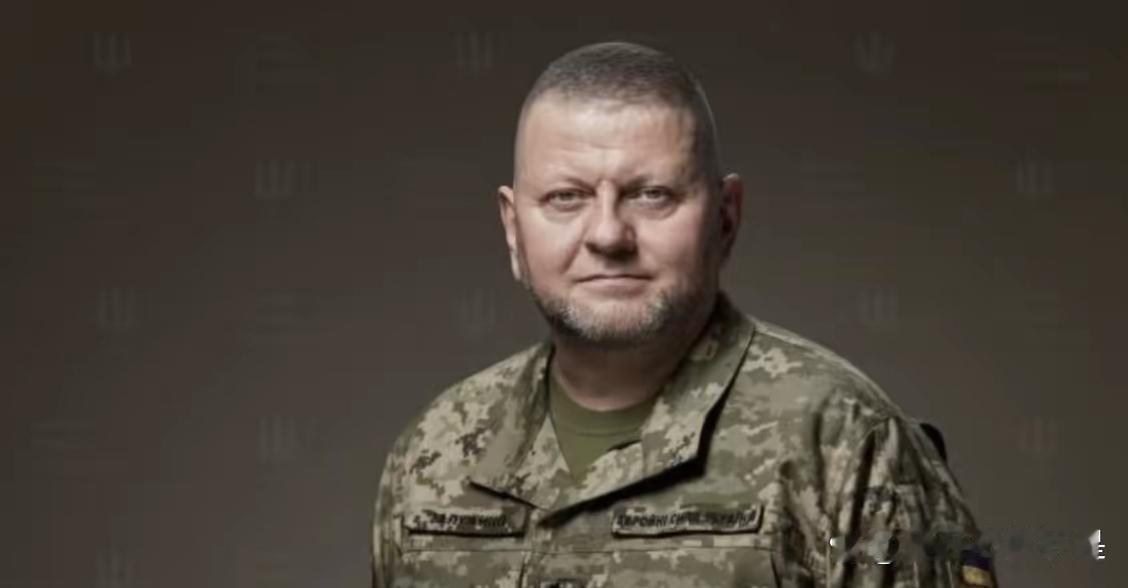 彻底杠上了乌克兰武装部队总司令瑟尔斯基在接受乌克兰24频道采访时表示，乌克兰