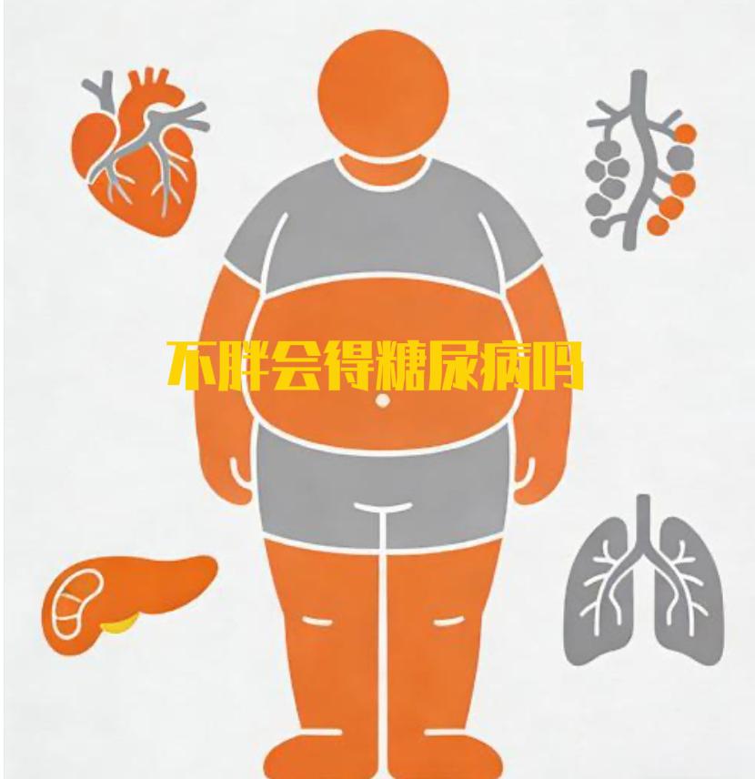 不胖会发生糖尿病吗？都说胖人容易发生糖尿病，而不胖的人呢？虽然肥胖是诱发2型糖