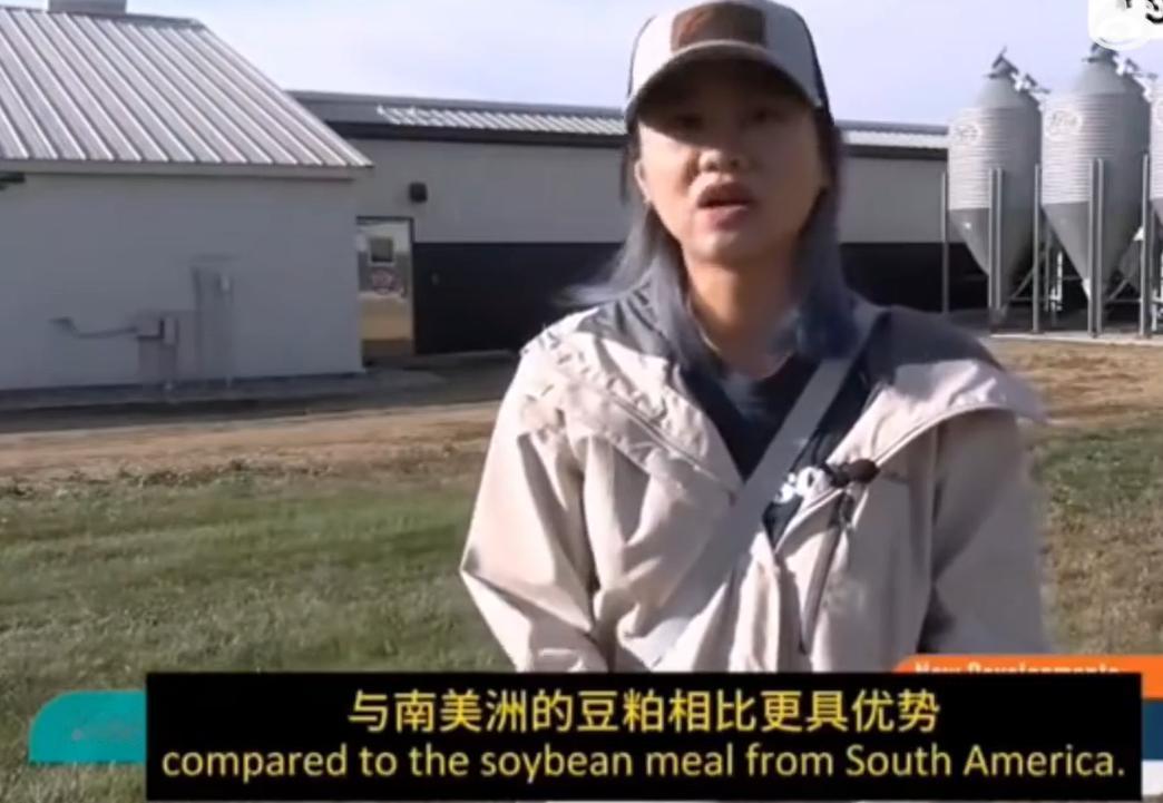 美国高调宣布大豆有救了！美国宣布来自印尼和越南的采购商，正在争相购买美国大豆，