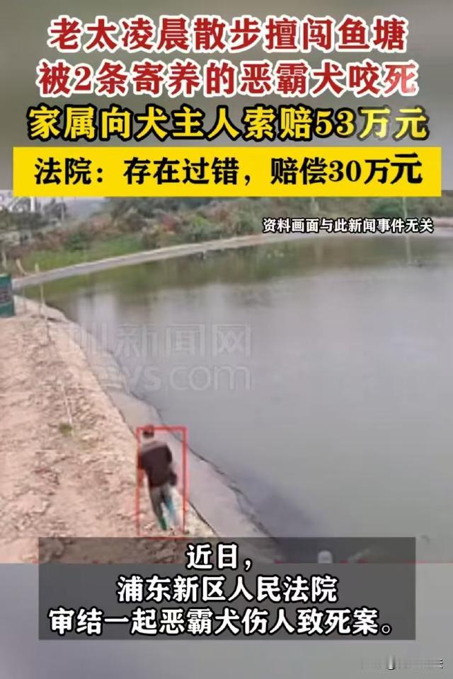 上海，陈老太凌晨5点多钟私自闯入老祁父子俩承包的鱼塘摘粽叶，谁知鱼塘里寄养的两只