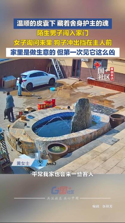 幸亏狗只是扑到了陌生人身上没咬人，否则后果就严重了，到时不是女子觉得狗护主赞扬，