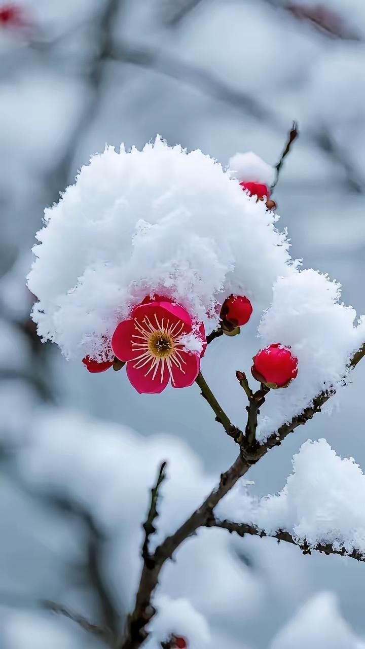 人到中年一定要记得不拼繁华只拼安稳​青春会渐渐远去心态和修养带来的从容