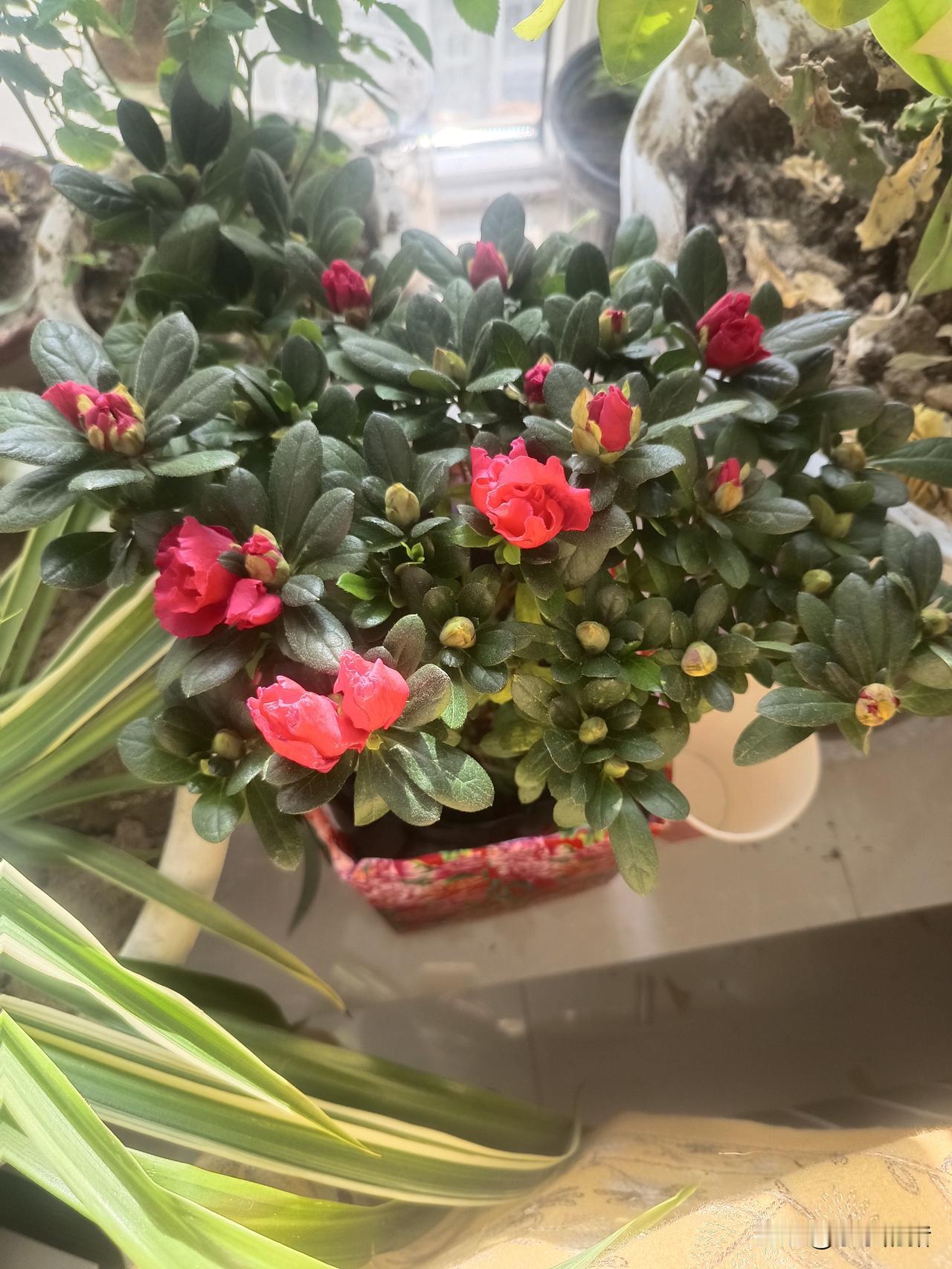 原来火化场烧人也分普通的和高档的。还真是长见识了，前两天我妈的婶子不是葬完了吗？