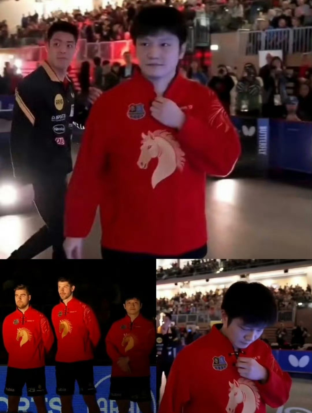 樊振东的德甲经历数次得到官方推文和支持，不管是在竞技层面的互相交流，还是文化方面