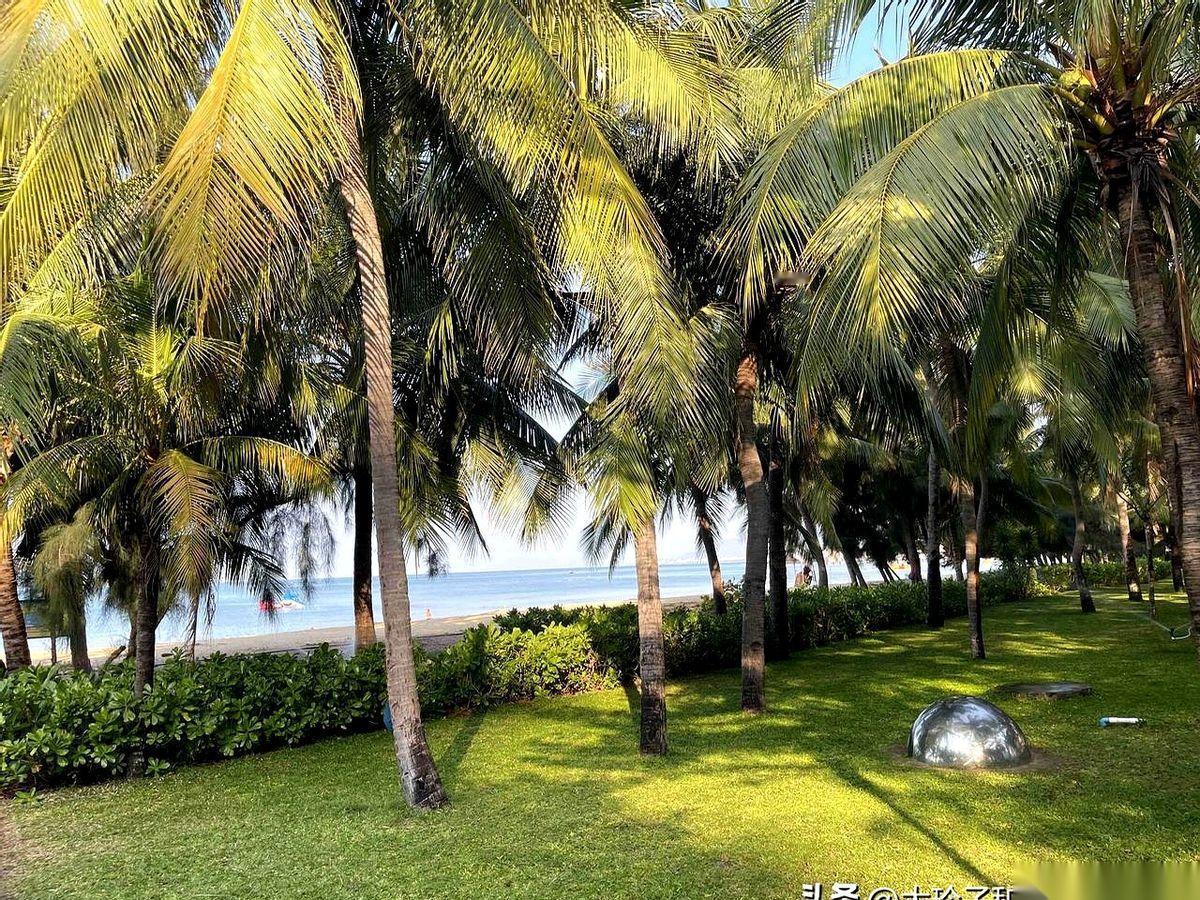 刷到一个帖子，直接给我干沉默了。有人列了个单子，说这才是人该过的日子：一二月