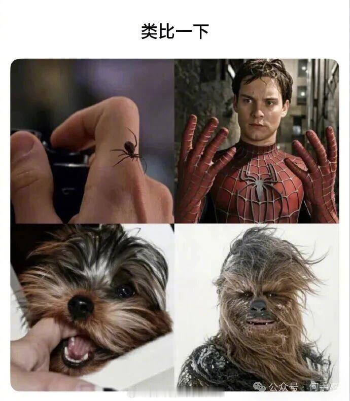 被什么咬很重要，你想被什么咬？​​​