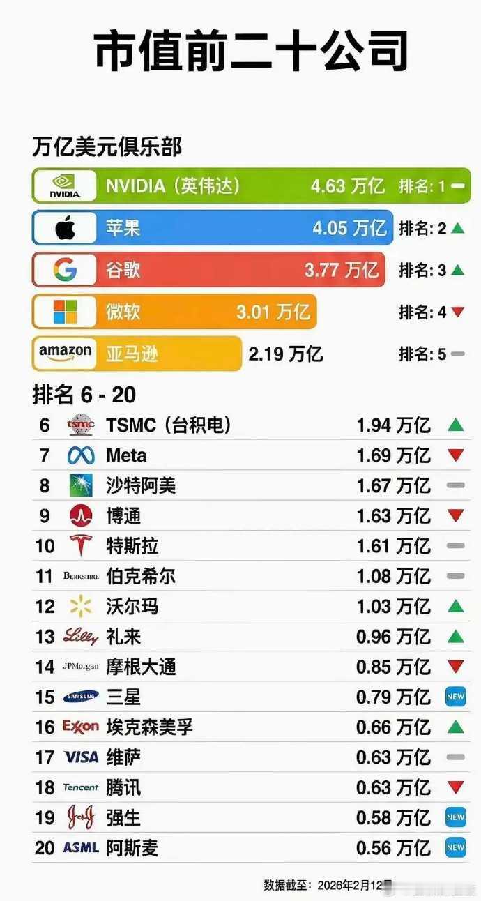 全球市值TOP20企业