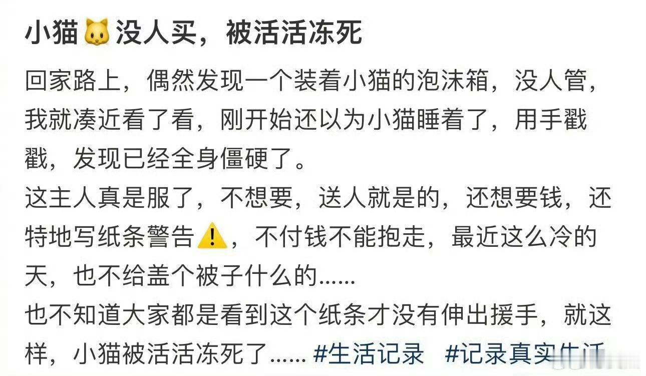 小猫没人买，被活活冻死
