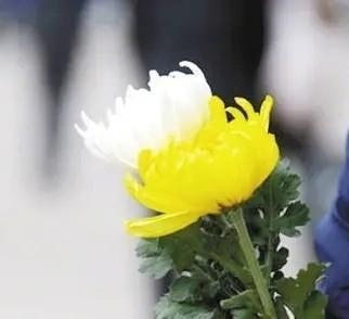 我妯娌心有点毒，她从前年开始，每年清明节前一两天，她都给我发一个别人家烧纸钱的视